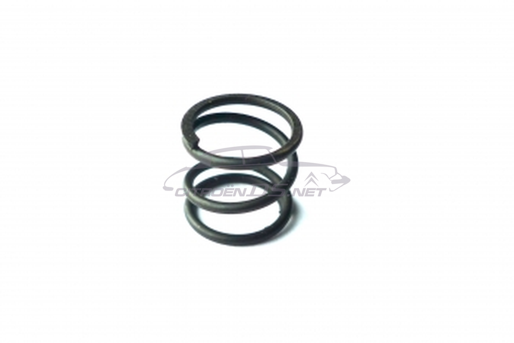 Rear brake shoe spring