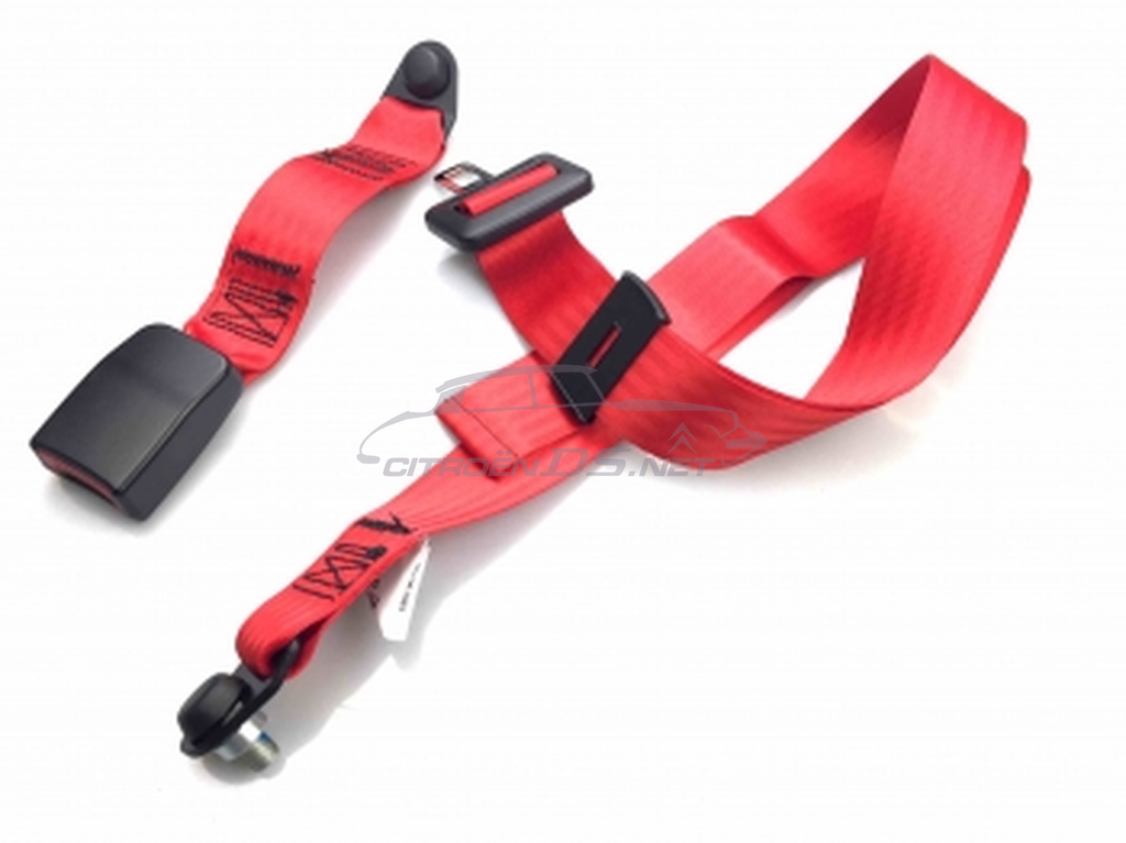 2-point rear seat belt